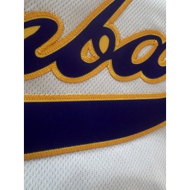 Men's White Baseball Jersey with Embroidered Mamba 24 & Number 8 Design - Breathable V-Neck, Loose Fit, Button-Up Short Sleeves for Training, Competitions, Casual & Streetwear - All-Season Athletic Shirt, Embroidered Detailing